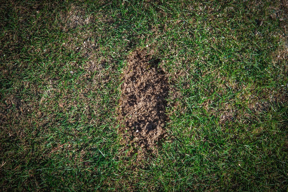 Neutral divot
